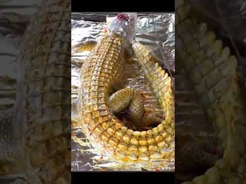 It's Time To Open Up About Юмор12 Top Tricks For Effortless ЮморHow People Are Reacting Юмор