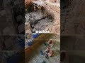 Roman Mosaics Unveiled RomanMosaics #KelaHanma #AncientHistory #culturalheritage