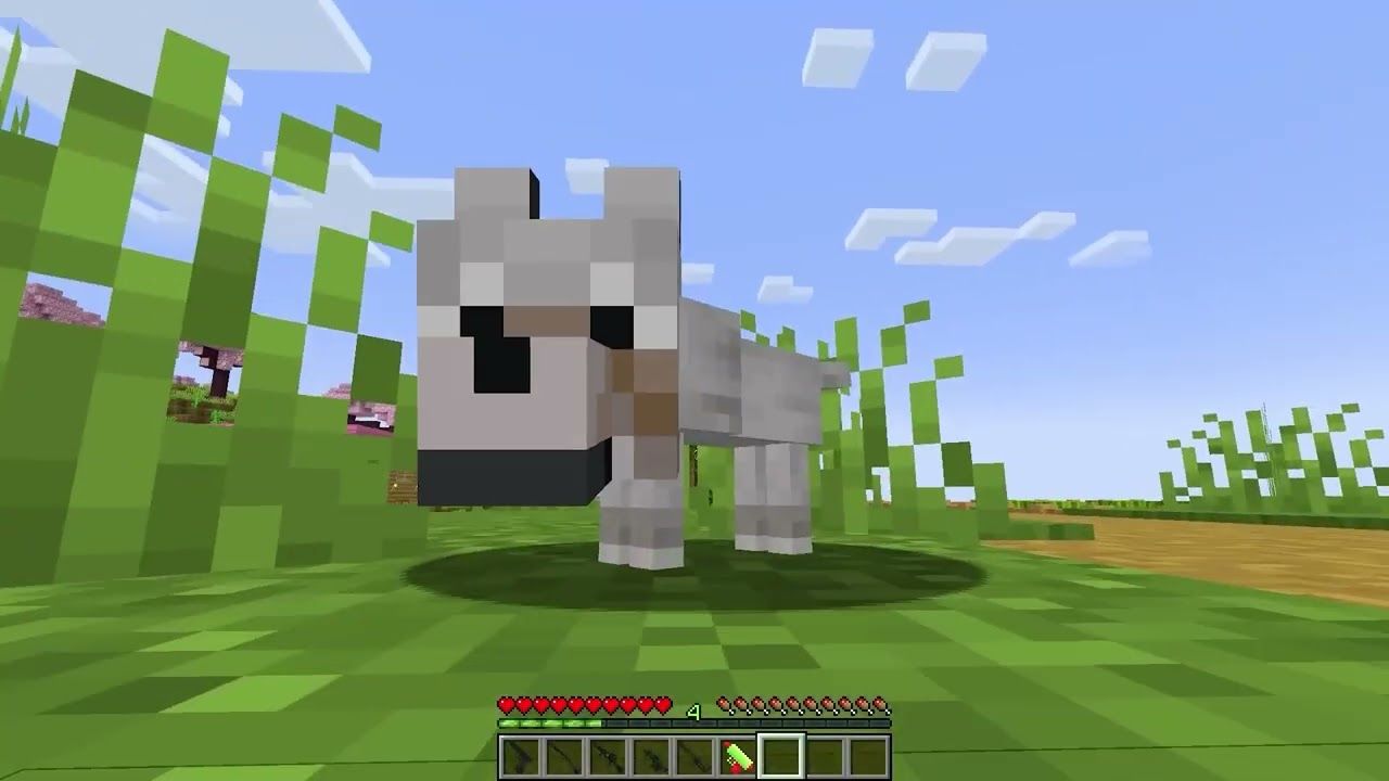 Dash minecraft trial #01