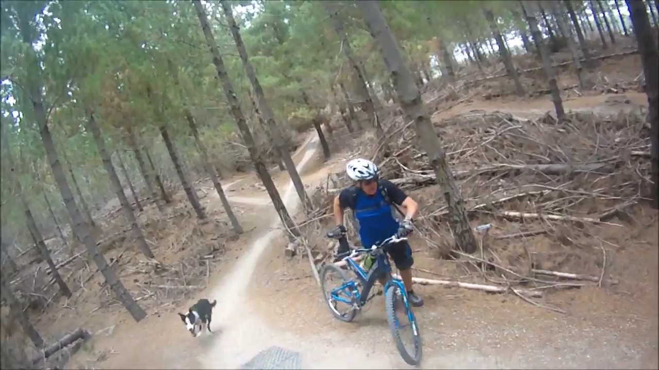 Bottle Lake Forest Park