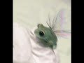 :･.･ﾟ:･.:] I