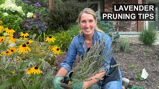 How to Prune Lavender ✂️💜 screenshot 3