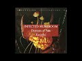Infected Mushroom   Demons Of Pain KARAOKE