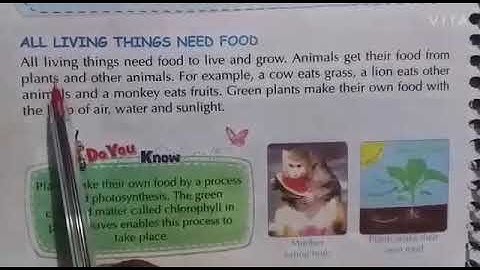 Dalauda Public School Class 3rd science chapter 1st by Bindu Tiwari (Part 2nd)