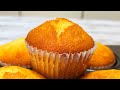 Vanilla cupcakes easy home recipe