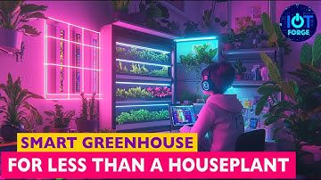 They Made a Smart Greenhouse for Less Than a Houseplant 🪴💡 (and It Talks Back)