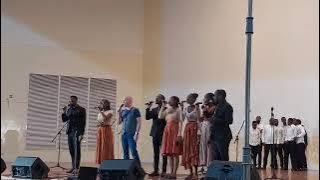 Tim Storms ft Zither Harmony || Amazing Grace