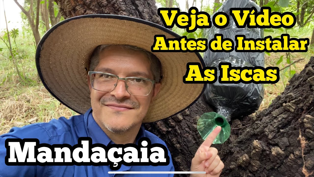 DICAS PARA VC QUE QUER CAPTURAR ABELHA MANDAÇAIA…
