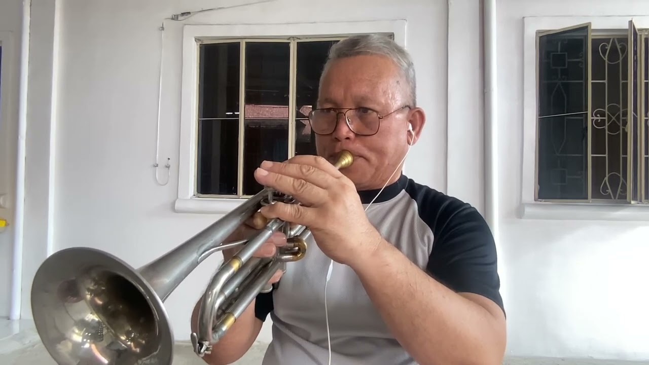 WORDS - Bee Gees  (Trumpet) cover