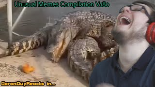 (UNUSUAL MEMES IS BACK AND BETTER THAN EVER!) Unusual Memes Compilation V180 - GoronGuyReacts
