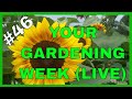 Vegetable Garden Prep & Single Seed Challenge (Q&A)