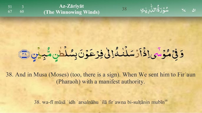 Ruscha qullar mushuk yalagan video