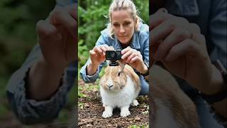 Wait… what is hidden inside a rabbit hole? 😳