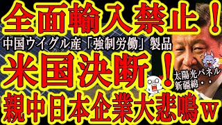 【米国決断で親中企業も制裁に巻き込まれそうｗ米国上院『中国新疆ウイグル自治区産製品を全面輸入禁止！】中国への制裁の決定版「ウイグル強制労働防止法案」！遂に米国議会上院でも可決！親中企業さん達大丈夫ｗ