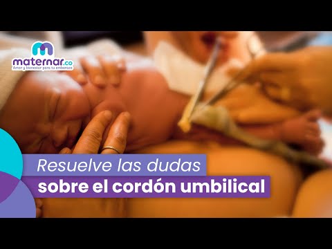Cordón umbilical: ¿Por
