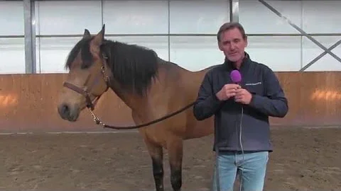 Chris Irwin: Push, block and draw