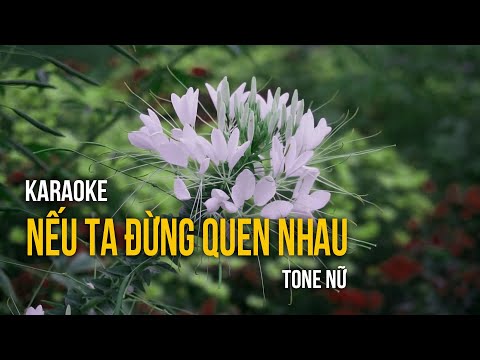 KARAOKE | NẾU TA ĐỪNG QUEN NHAU | TONE NỮ | TAKERU