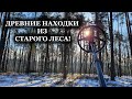 Вот это Удача! Нашли древние НАХОДКИ в старом лесу!!! Фильм 159