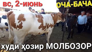 молбозори хучанд 2-июнь худи ҳозир аз МОЛБОЗОР нархи молҳои ОЧА БАЧА ва дуҷон имруз