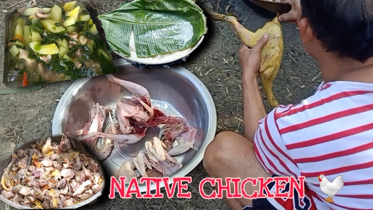 NATIVE CHICKEN | Tinolang Manok | Buhay Probinsya Sa Iloilo VLOG#7