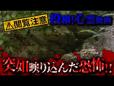 【心霊映像】池