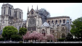 Reconstruction de Notre-Dame de Paris : 850 millions d'euros récoltés pour 700 dépensés