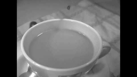 Bio-Inspired Flying Robots