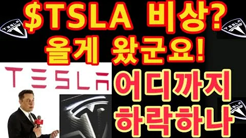 TSLA 비상 주가는 어디까지 하락하나 Q4 핑크빛 지금 투자하기 좋은 기회 헛소식 난무 TSLA 차트 체크 Tesla 주가 테슬라 투자