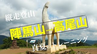 【日帰り登山】陣馬山から高尾山🎵人気の縦走路を真夏に歩いてみた