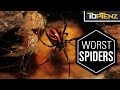 Top 10 Most VENOMOUS SPIDERS in the WORLD