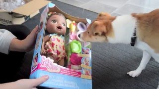 Baby Alive Snackin' Lily Unboxing!