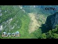 《地理·中国》 “龙蛇”谜踪 20200616 | CCTV科教