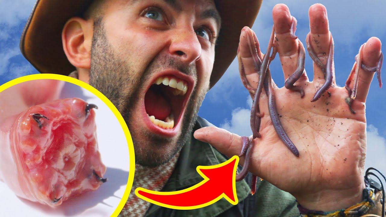 Coyote Peterson s Most BIZARRE And RARE Encounters Greatest Hits coyote-peterson-s-most-bizarre-and-rare-encounters-greatest-hits