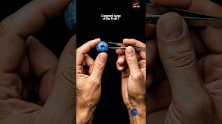 🫐 Tiny blueberry skin extraction #satisfying #asmr #shorts #youtubeshorts #oddlysatisfying #sound