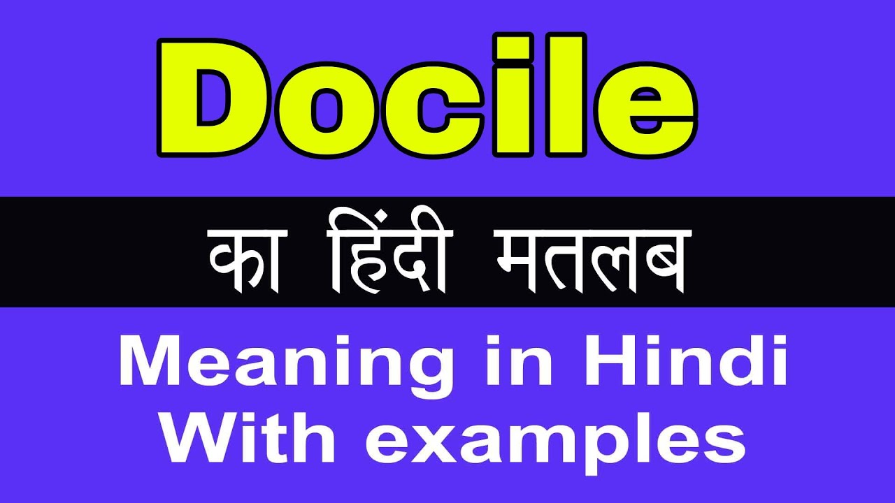 Docile Meaning In Hindi Docile Ka Kya Matlab Hota Hai YouTube docile-meaning-in-hindi-docile-ka-kya-matlab-hota-hai-youtube