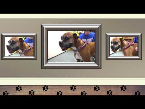 Adopt a Furiend EP 21