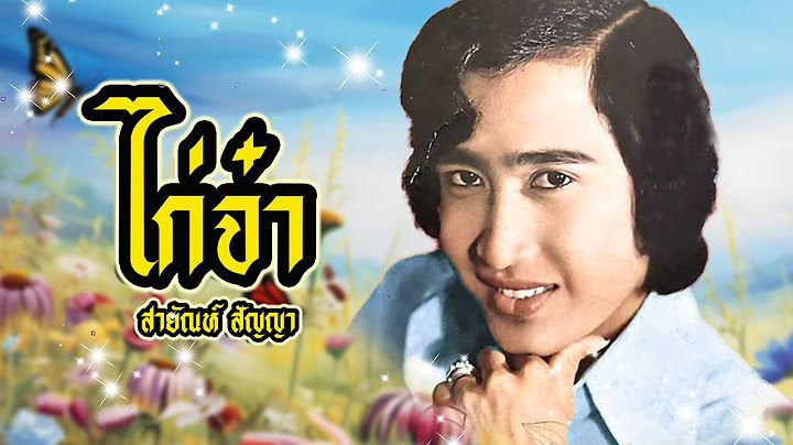 เพลง ไก่จ๋า สายัณห์ สัญญา LYRICS VIDEO พร้อมเนื้อเพลง