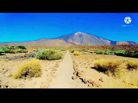 أنشودة صلى عليك الله يا خير الورى أداء أكثر من رائع