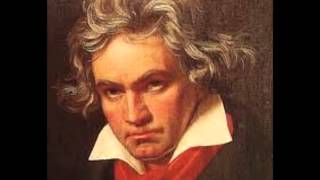 Video thumbnail of "Sinfonia No  3   L  V  Beethoven"