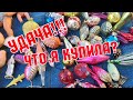 ЭТО БЫЛО НА БАРАХОЛКЕ. УДАЧА! ПОКУПКИ! ПОДАРКИ! ЁЛОЧНЫЕ ИГРУШКИ СССР. АНТИКВАРНЫЕ КУКЛЫ. ВЕЩИ СССР.