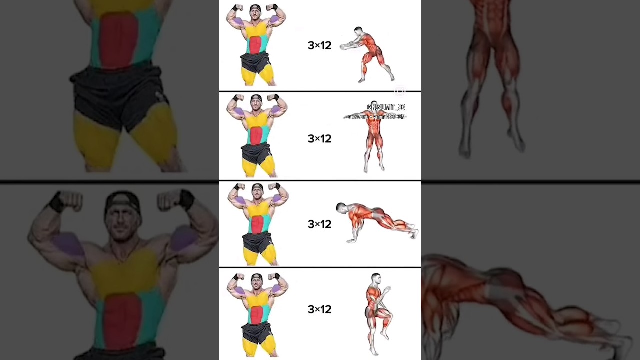 geistig Barriere Video dekorative