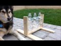Dog Toy Made of Plastic Bottles