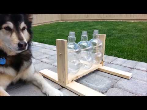 diy puzzle feeder dog