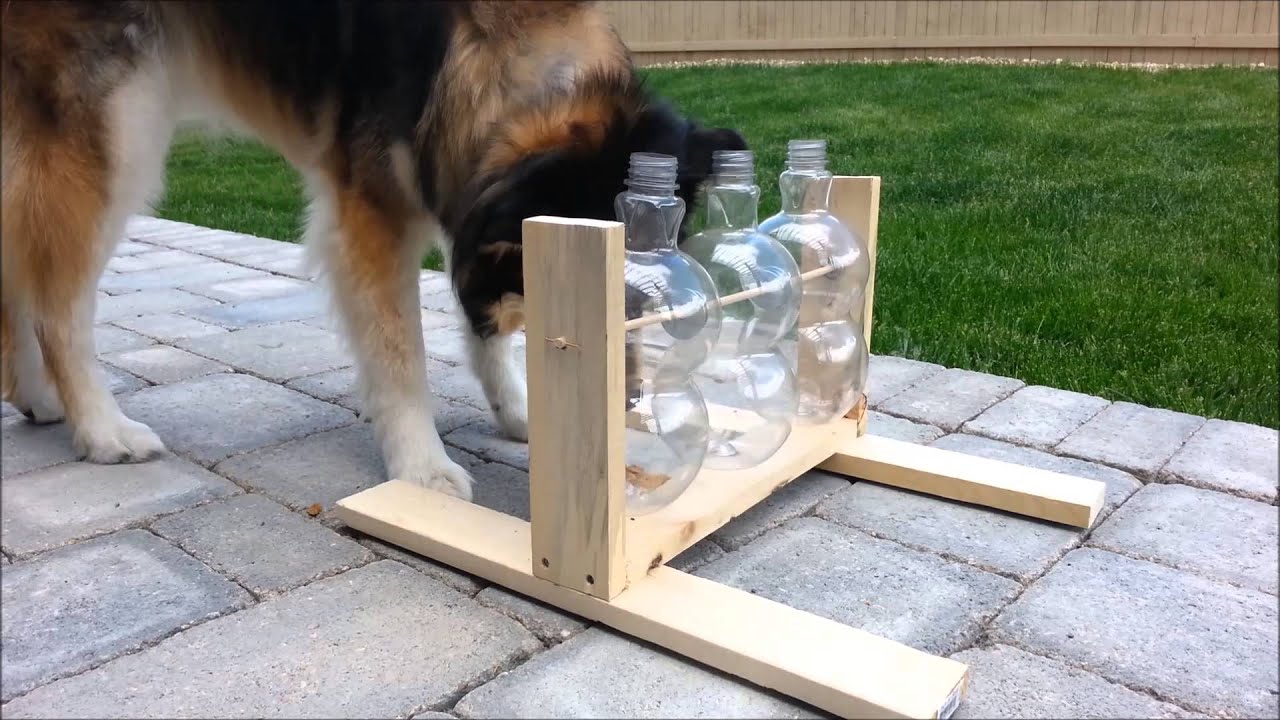 How to Make A Spinning Bottle Puzzle Feeder For Dogs