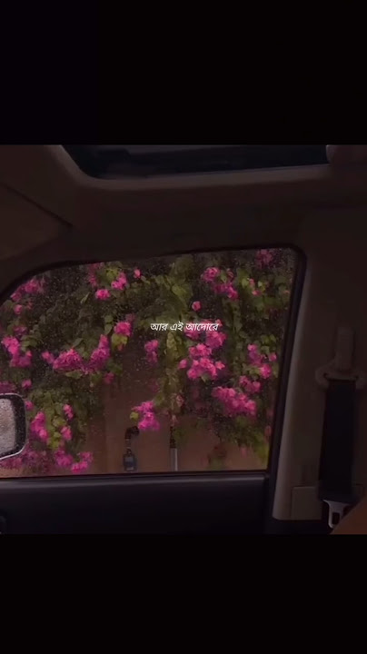 toke bolbo vabi kichu olpo kotha full song lyrics whatsapp status