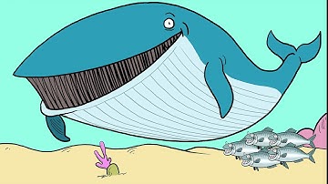 What Is Ecosystem-Based Fishery Management? | A Cartoon Crash Course