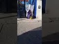 Momento destacado de transmisión en vivo