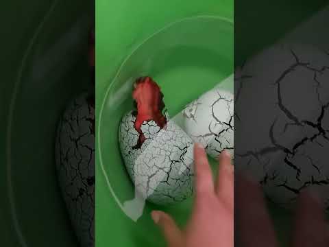 Giant Hatching Dino