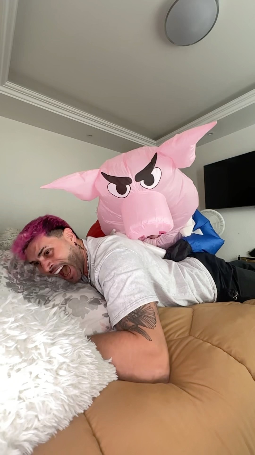 SÚPER PIGGY