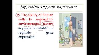 BUC | Mol 13 (Gene Expression , Regulation)